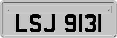 LSJ9131