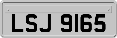 LSJ9165