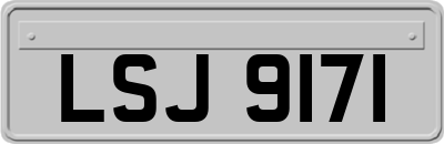 LSJ9171