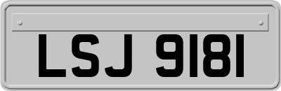 LSJ9181
