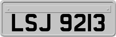 LSJ9213