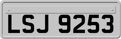 LSJ9253