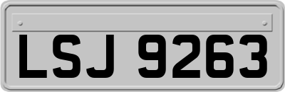 LSJ9263