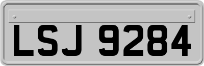 LSJ9284