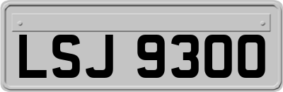 LSJ9300