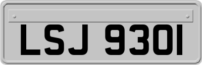 LSJ9301