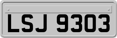 LSJ9303