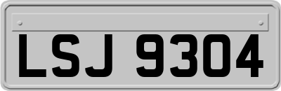 LSJ9304