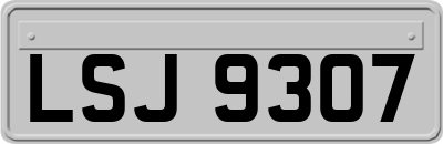 LSJ9307