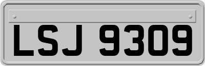 LSJ9309