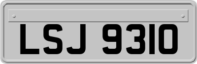 LSJ9310