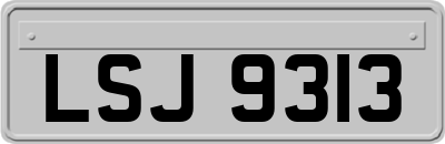 LSJ9313