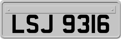 LSJ9316
