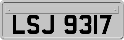 LSJ9317