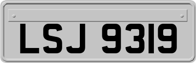 LSJ9319