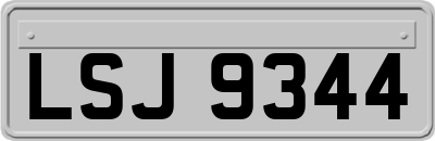 LSJ9344