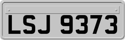 LSJ9373