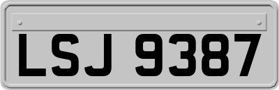 LSJ9387