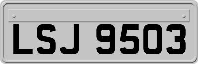 LSJ9503