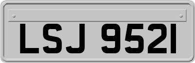 LSJ9521