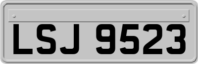 LSJ9523
