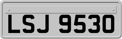 LSJ9530