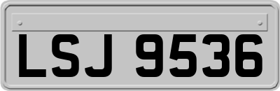 LSJ9536
