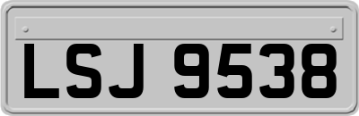 LSJ9538