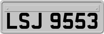 LSJ9553