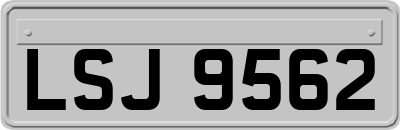 LSJ9562