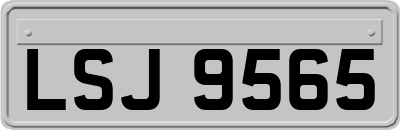 LSJ9565