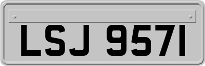 LSJ9571