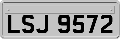 LSJ9572