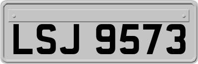 LSJ9573