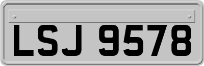 LSJ9578