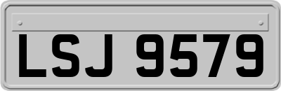 LSJ9579