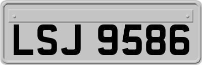 LSJ9586