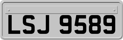 LSJ9589