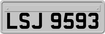 LSJ9593