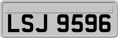 LSJ9596
