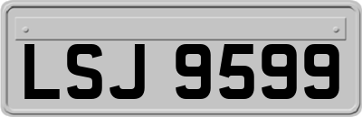LSJ9599