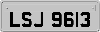 LSJ9613