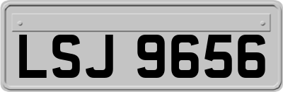 LSJ9656