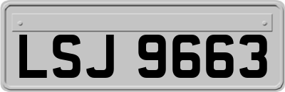 LSJ9663