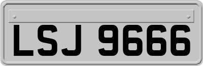 LSJ9666