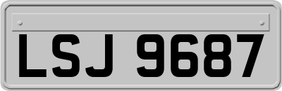LSJ9687