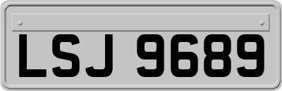 LSJ9689