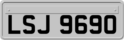 LSJ9690