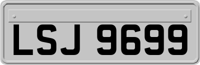 LSJ9699