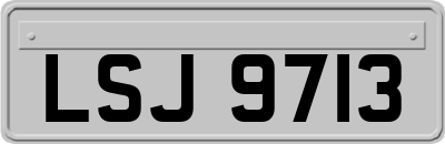 LSJ9713